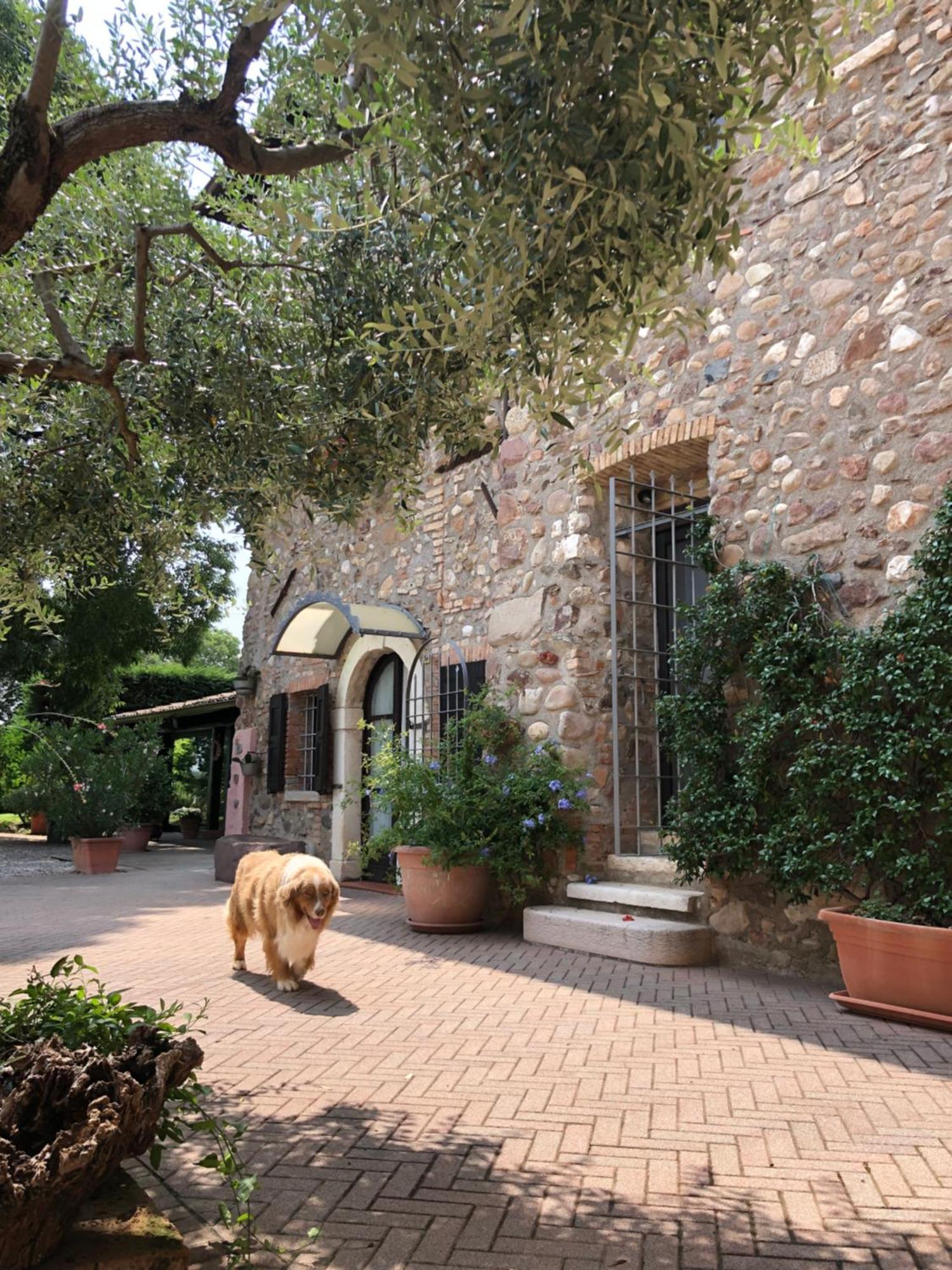 B&B Cascina Mattarelle Monzambano Eksteriør bilde